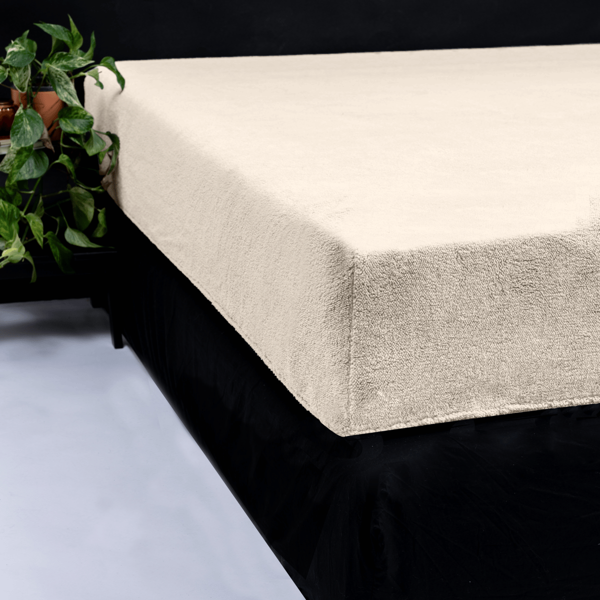 Zelesta Teddy Fitted Sheet - Cream image