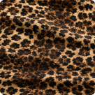 Jaguar Skin