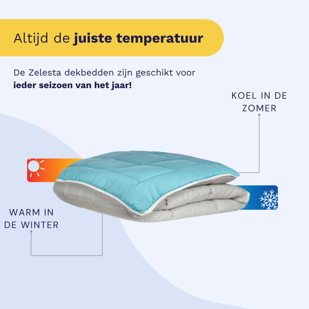 Zelesta Easybed - Lichtgrijs & Zeegroen (XL) 1+1