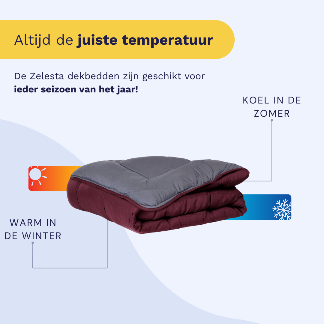 Zelesta Easybed - Paars & Antraciet