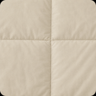 Desert Sand