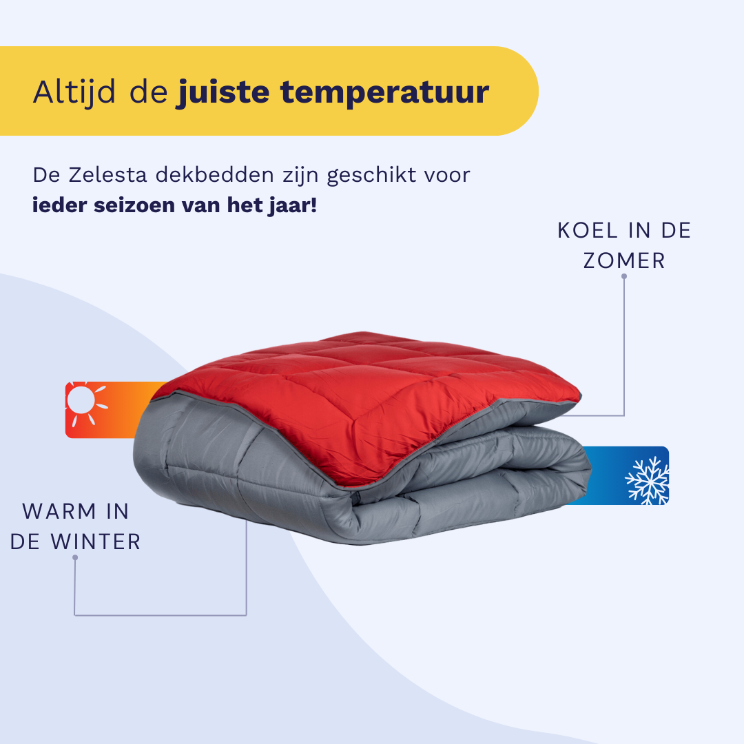 Zelesta Easybed - Antraciet & Rood