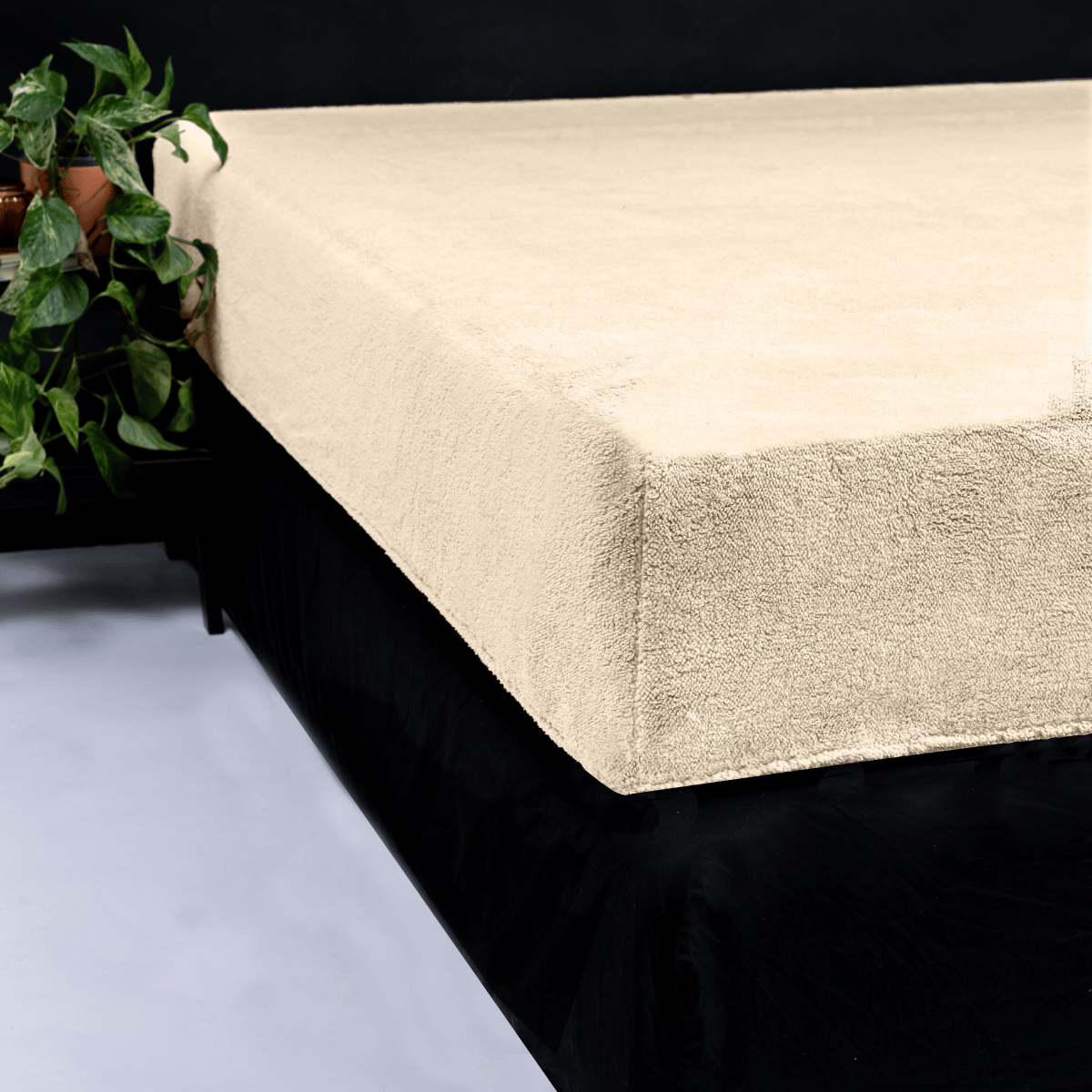 Zelesta Teddy Fitted Sheet - Taupe image